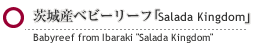 ���Y�x�r�[���[�t�uSalada Kingdom�v